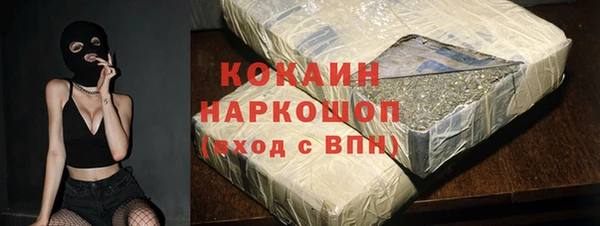 гидра Белокуриха