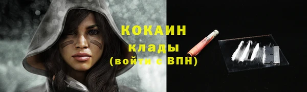 гидра Белокуриха