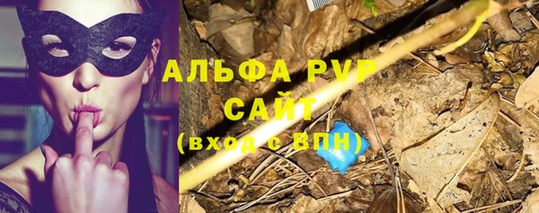 гидра Белокуриха