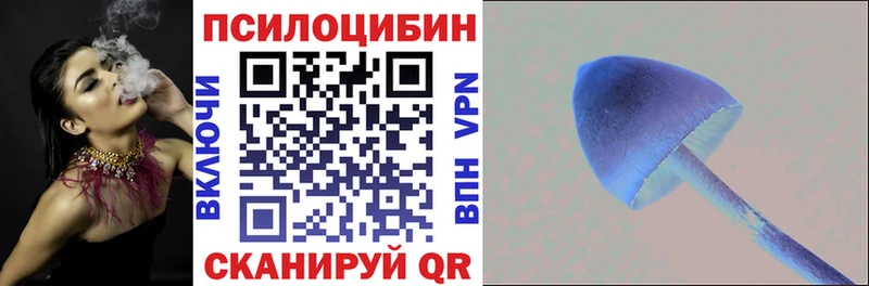 Псилоцибиновые грибы мицелий  Купить где  Разумное 